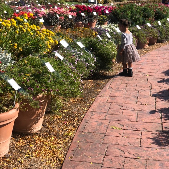 Meet your Posher, Crystal - Picture 4 of 4